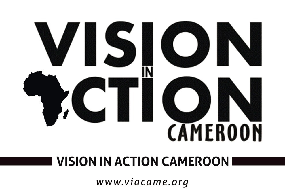 Vision In Action Cameroon
